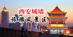 美女草大逼中国陕西-西安城墙旅游风景区
